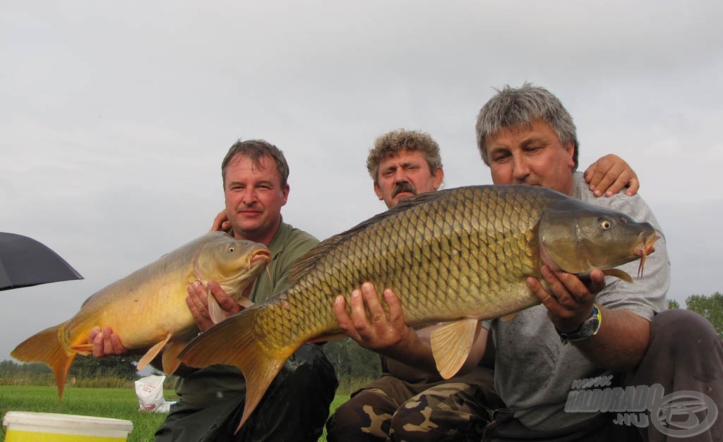 A Tati Carp Team fáradhatatlanul fogta a szebbnél szebb pontyokat