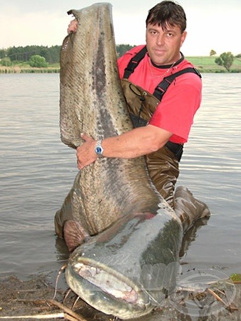 Horgászpályafutásom eddigi legnagyobb hala 225 centiméteres hosszal rendelkezett, melyhez 75,30 kg-os súly párosult