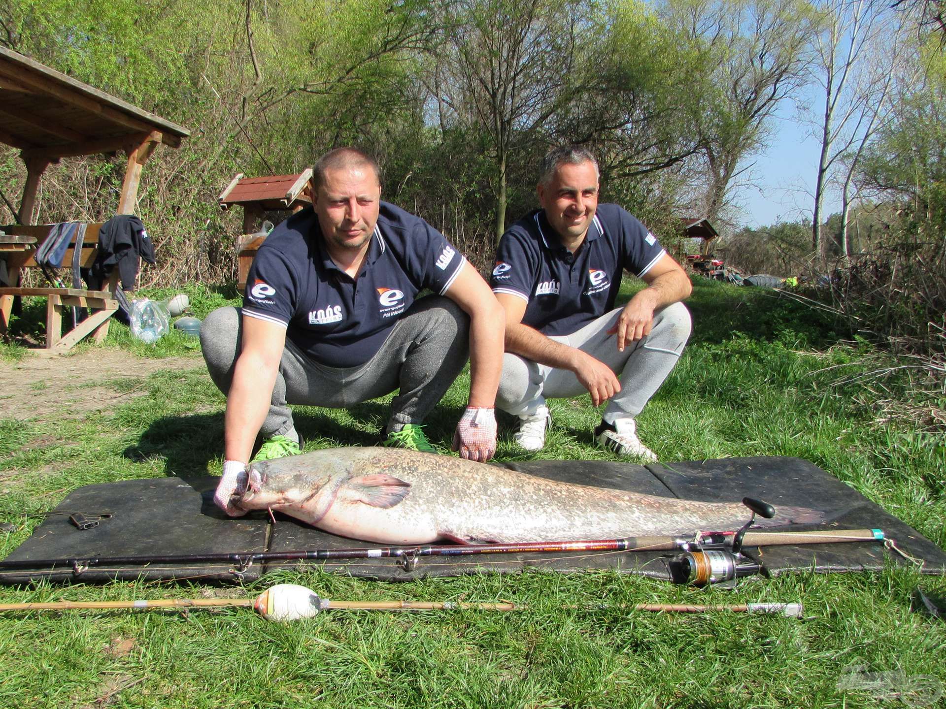 Az úszónk bevetésre kész, 60 cm-től 160 cm-es vízmélységig kiválóan használható. 20-25 méterre is pontosan dobható csónakból vagy partról is. A Koós Catfish SHADOW botoknak az ennél nagyobb, súlyosabb antennák sem jelentenek kihívást. Előnye még, hogy a csalihalat a beakadás veszélye nélkül kínálhatjuk fel nagyon akadós területen is. A végszereléke sem bonyolult. A főzsinórra felhúzunk egy közepes forgót majd a végére 5/0-s erős forgót kötünk