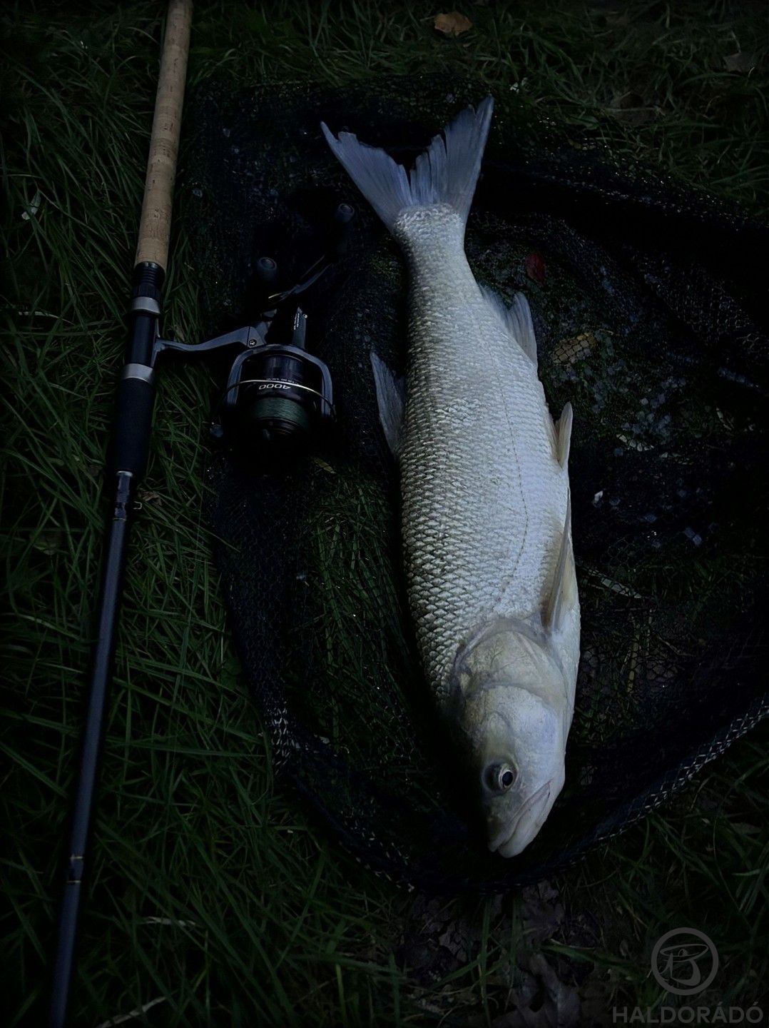 A fényváltás beadta