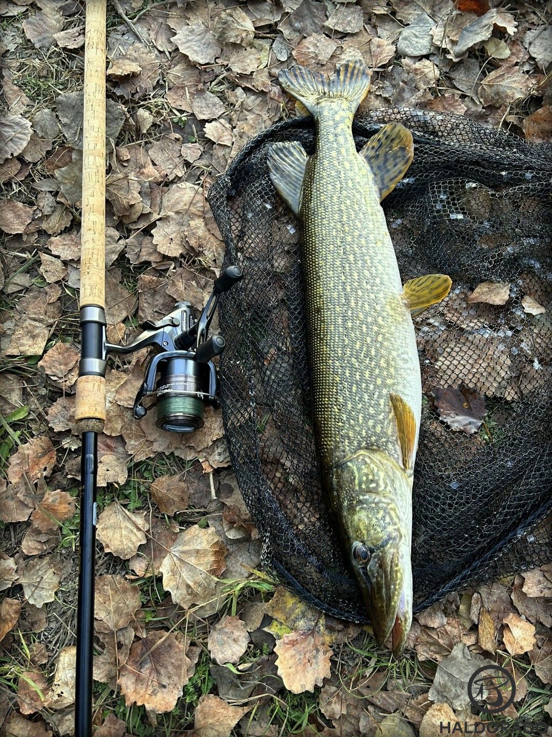 Szerencsére akadnak azért formásabbak is