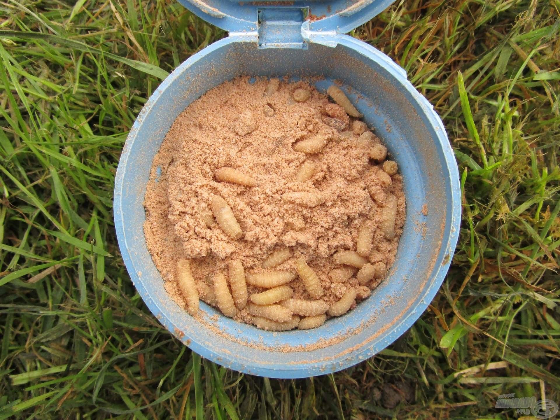 Zsemlemorzsa, vaníliás cukor és fahéj. Ezeket összedaráltam, majd a csontikra szórtam. A zalai keszegek nagyon szeretik!