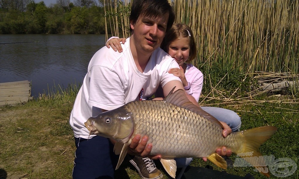 Gyönyörű, egészséges tőponty, súlya: 5,25 kg