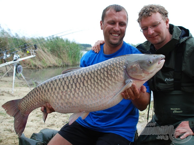 A verseny alatt jelentkezett még egy 20 kg feletti hal: 20,10 kg-os amur, melyet a Carp Fanatic Team terelt szákba