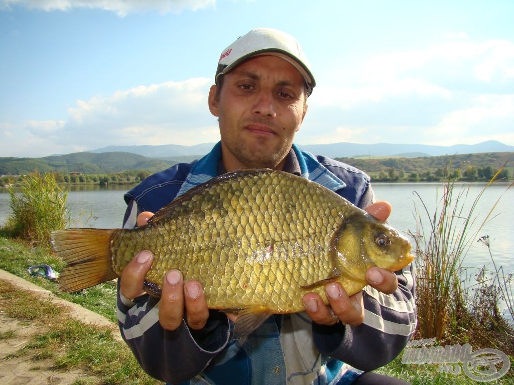 Maconka egyik aranya, már 1 kg felett