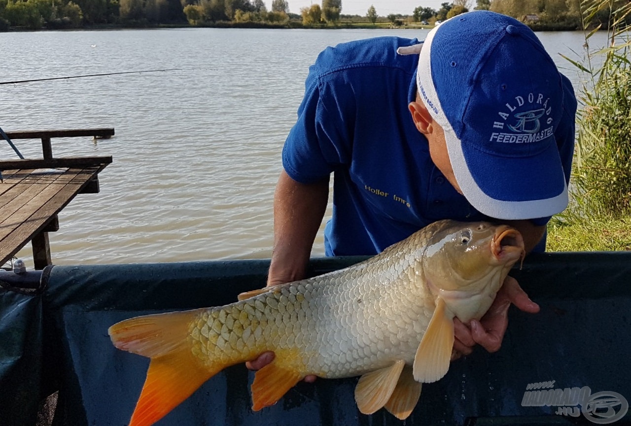 A furcsa kaland eredménye ez a szép tőponty lett 