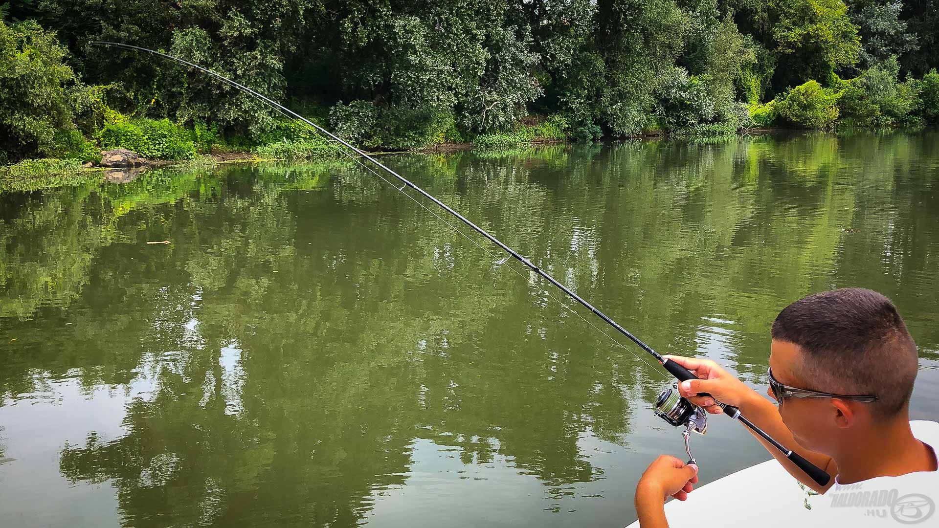 Peti csípte meg az első kövest