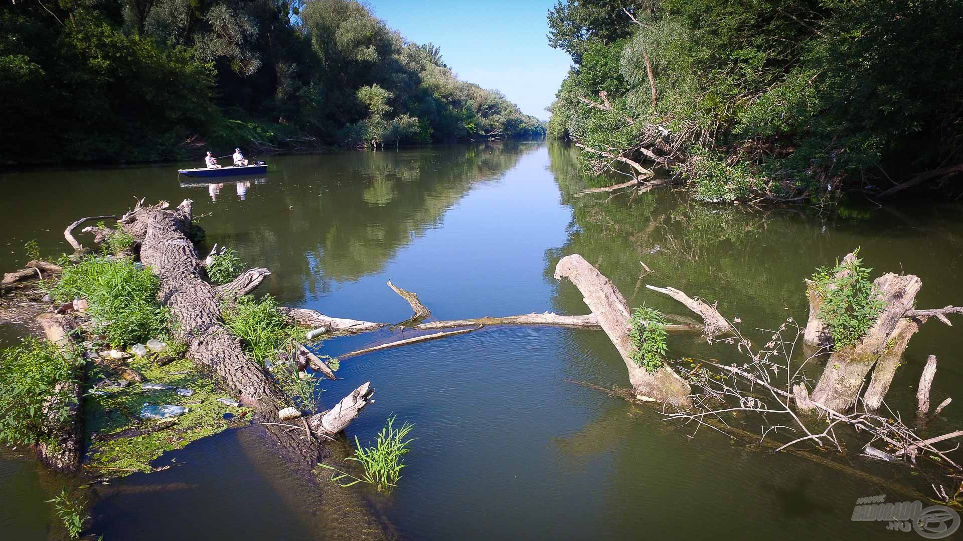 Rengeteg természetes akadót találtunk a folyón, és bíztunk benne, hogy rejtenek ragadozókat is