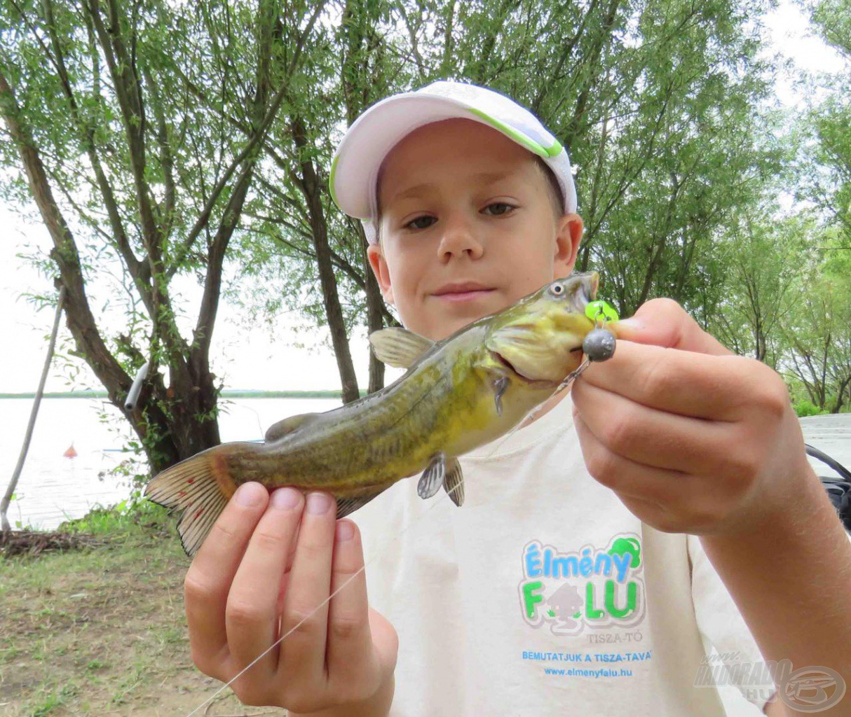 A törpeharcsák pergetés közben is gyakori vendégek voltak