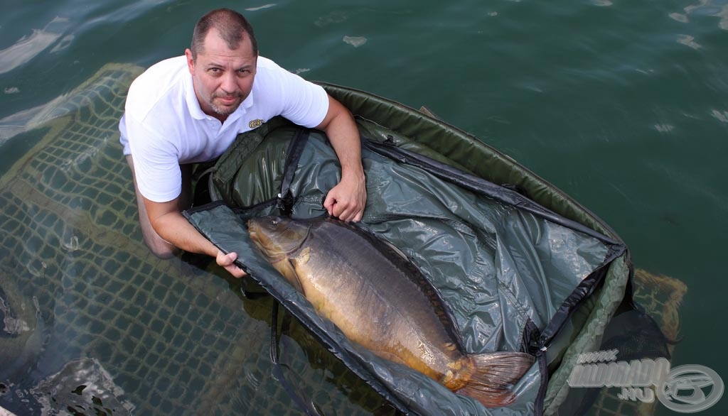 Nem kellett sokat várni az első halra, amely mindjárt 17,80 kg-ot nyomott