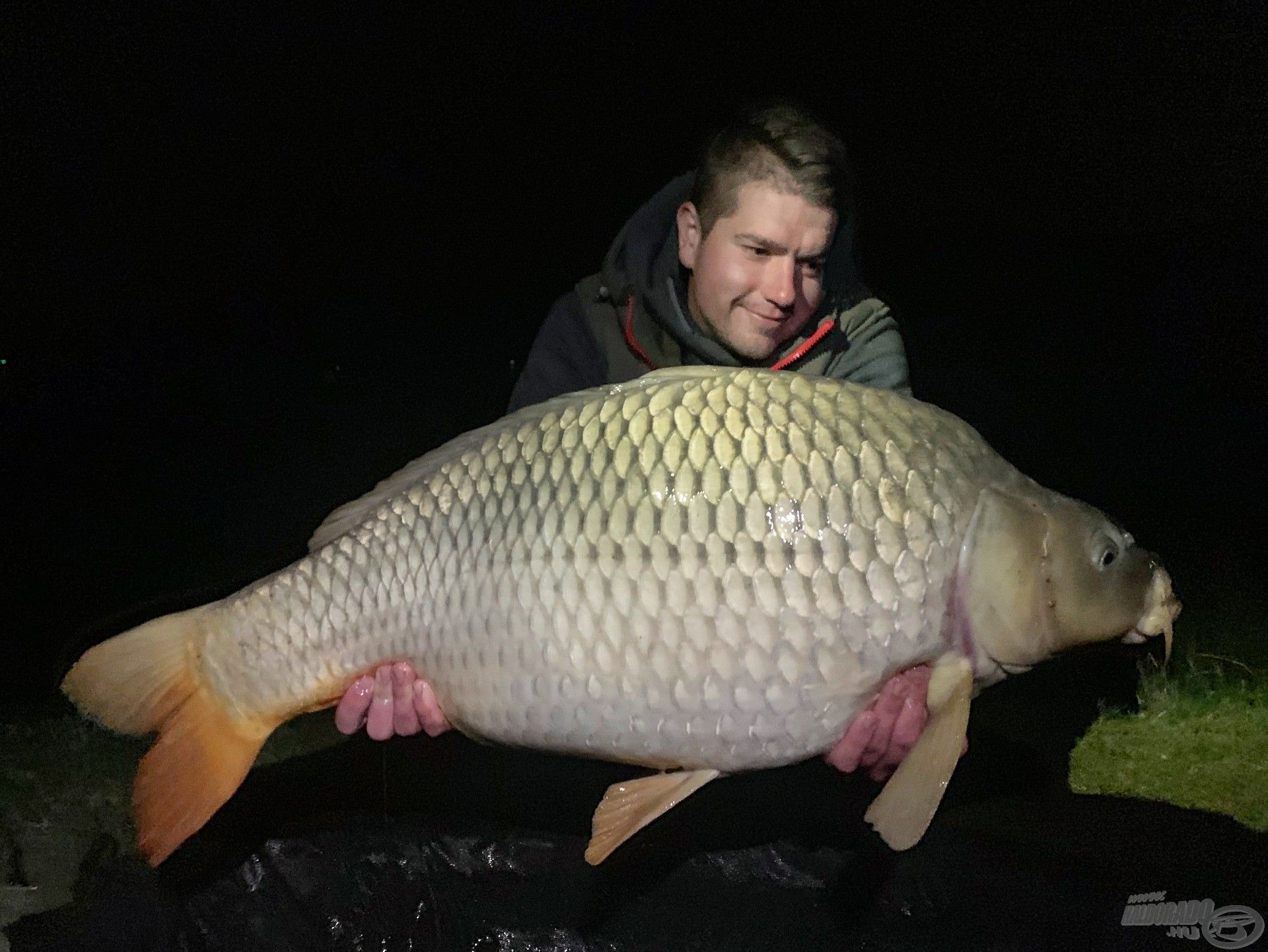 Közel 16 kilós, öreg háziréti tőponty