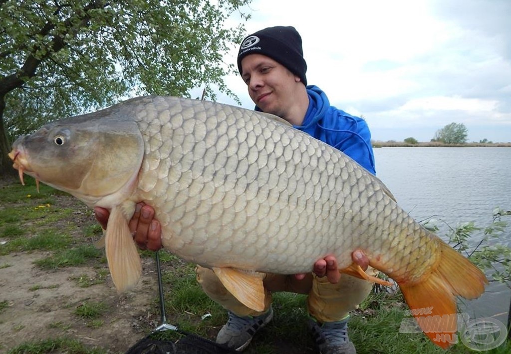 Hibátlan, erőtől duzzadó 12 kg feletti tőponty! Nemcsak a fárasztása volt élmény, de fényképezkedni is csodálatos érzés egy ekkora hallal!