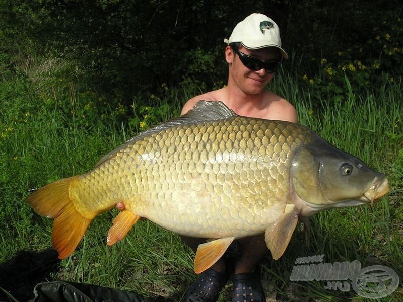 A korábbi feederbotos pontyrekordom e víznek köszönhetően csaknem a duplájára ugrott: 15,80 kg! Köszi, Isaszeg!