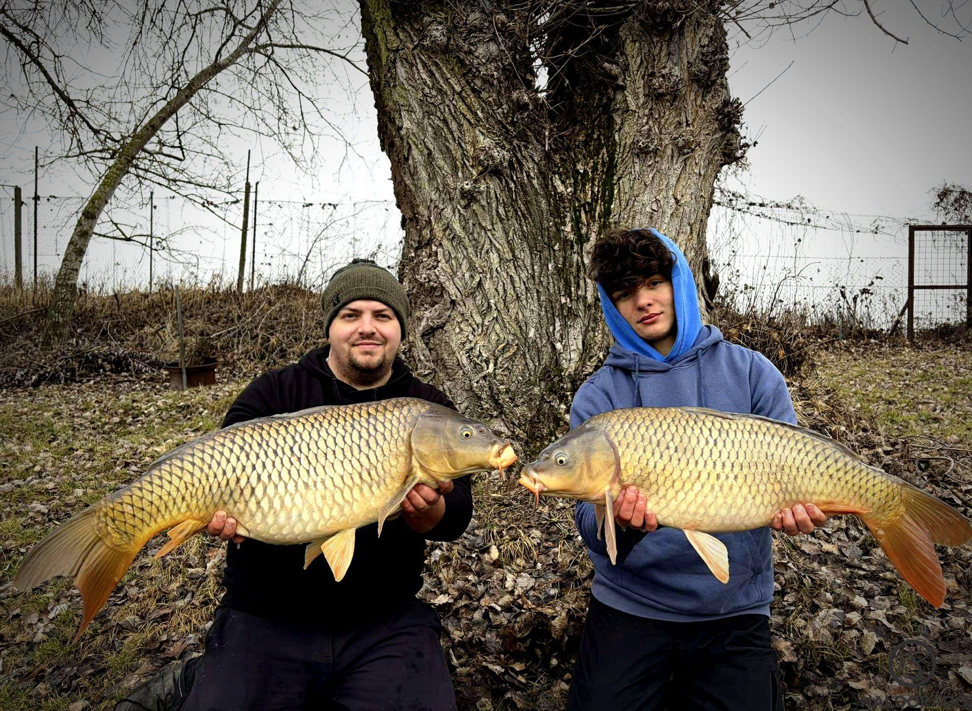 Pontyhorgászat hideg vízben