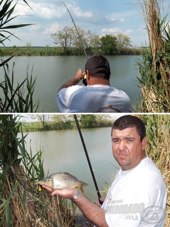 A második. Nem nagy, de ponty