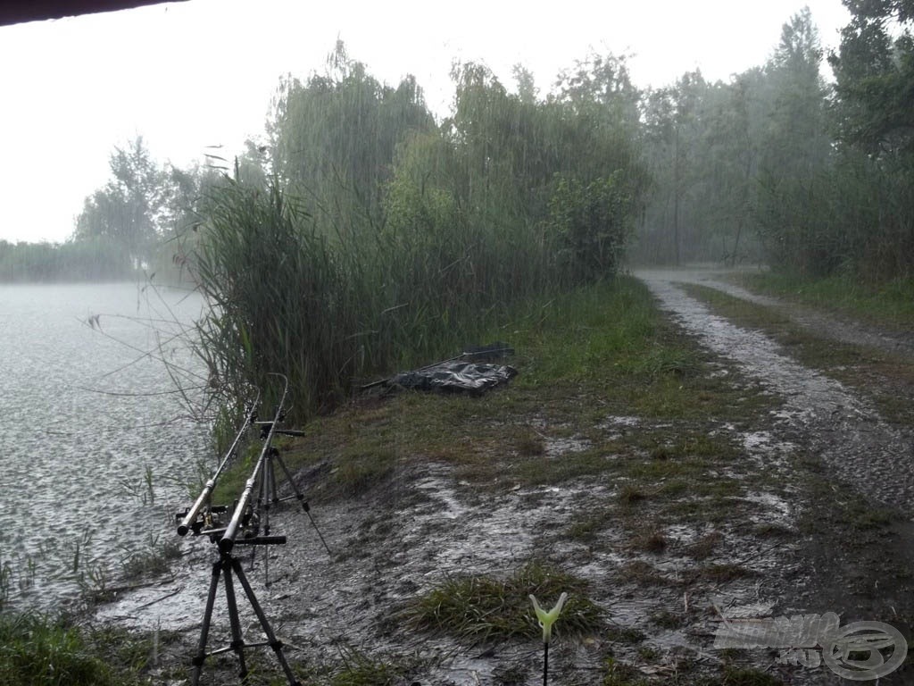 Az idő sajnos elrontotta ezt az „évemet”!