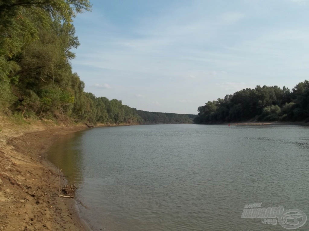 Új szerelmem, a Tisza