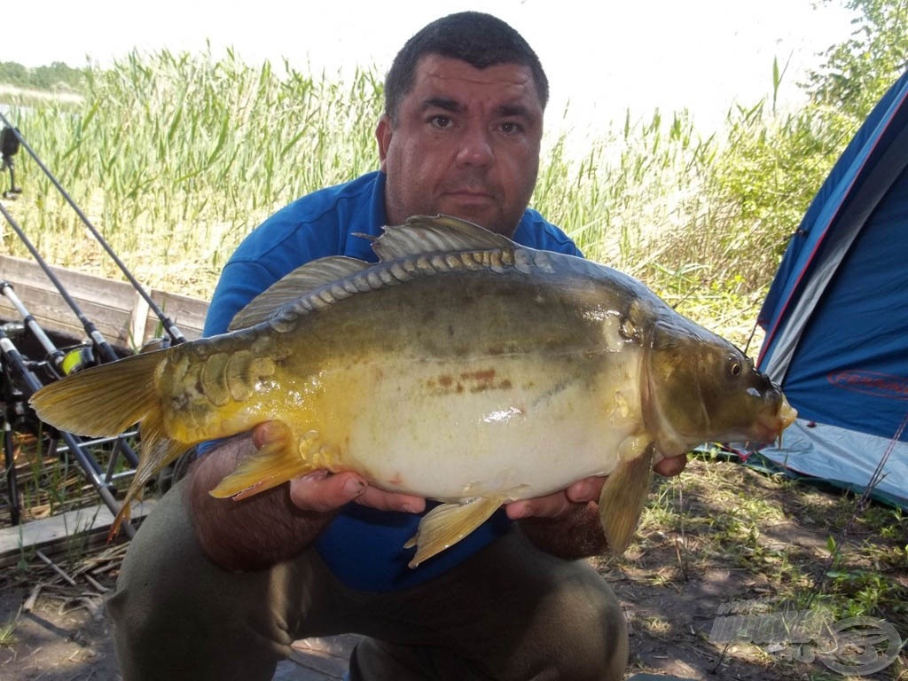 A pocakos lakatos, közel a három kilóhoz 