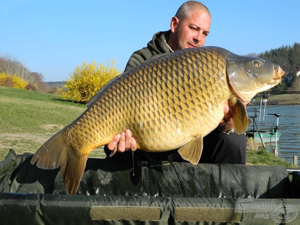 17,70 kg-os, hibátlan, kerek pikkelyes