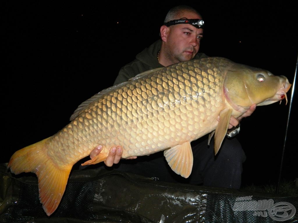 13,10 kg