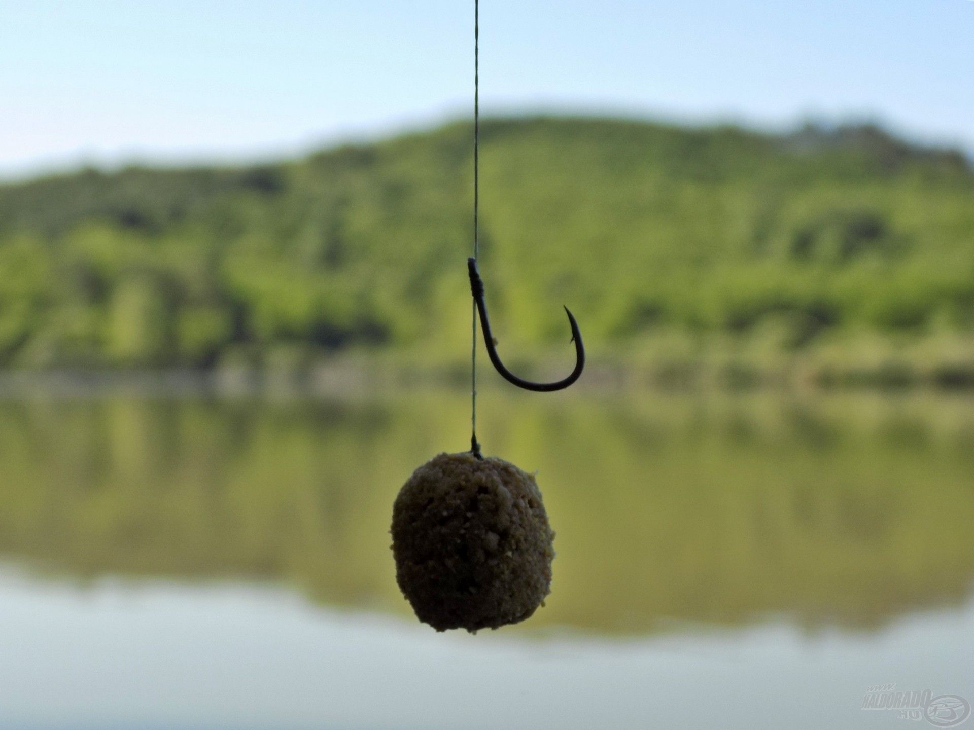 A markáns aromájú etetőanyag kupac közepén egy nehéz, süllyedő Carp Bonbon várta a halak érkezését. Ez a kombináció már végre nem volt a keszegek ínyére való