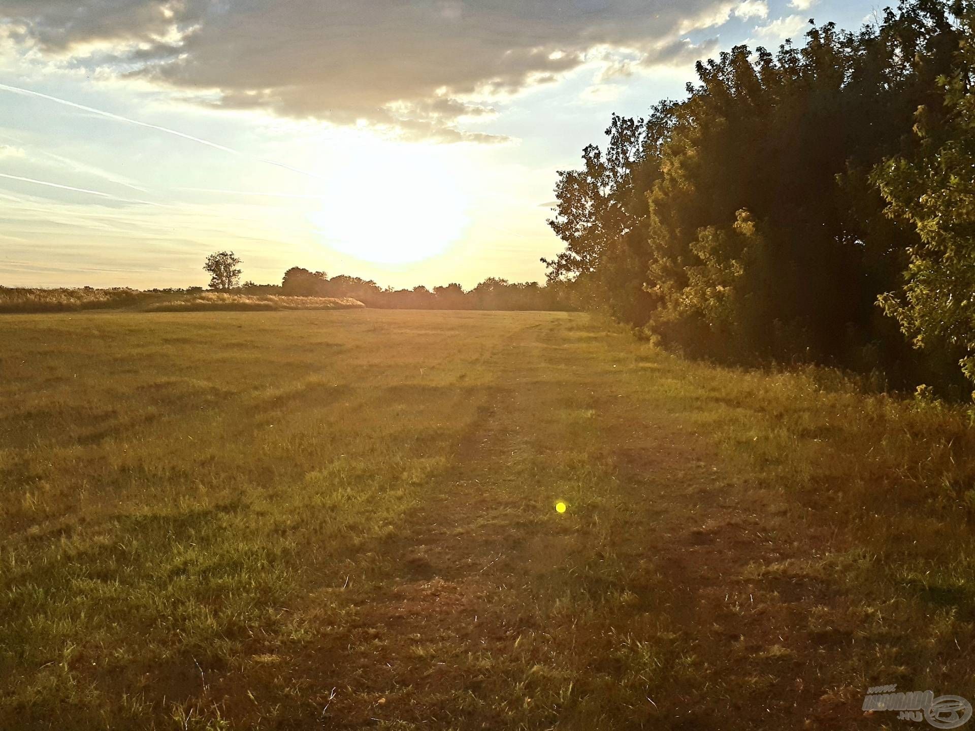 Nyári naplemente az ártérben