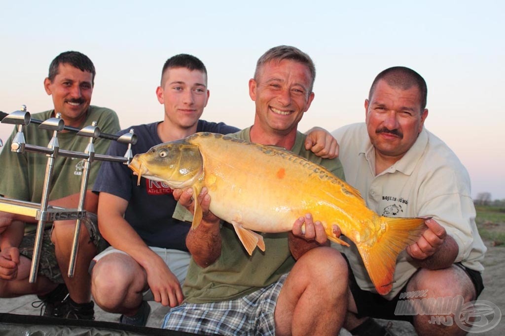 Bojlis Főnök Carp Team