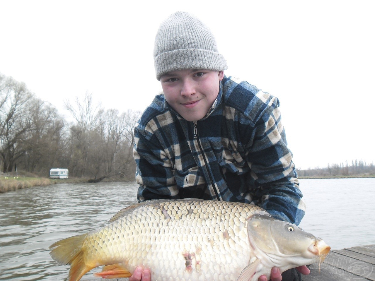 Szép tőponty, 6,78kg