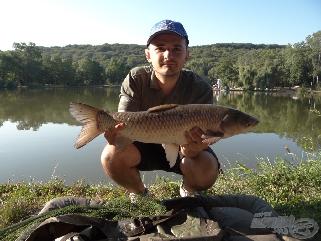 Az első hal egy igazán küzdős amur, súlya 3,03 kg