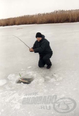 Léki csukázás során ritkán marad hal nélkül a horgász.