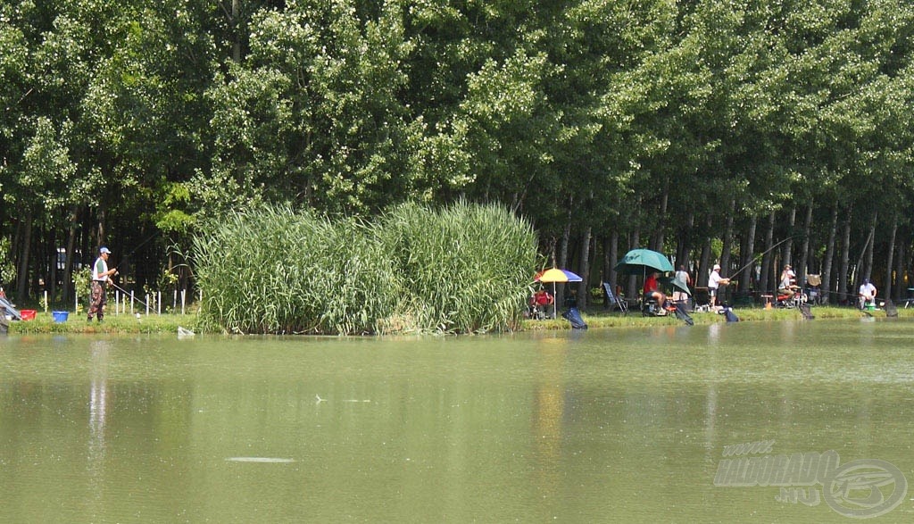 Gyakran többen is pontyot fárasztottak egy időben