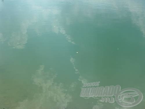 A víz annyira tiszta volt, hogy több mint egy méterre le lehetett látni!