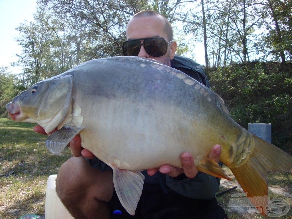 4,5 kg-os tükrös halibut + pop-up bojlira