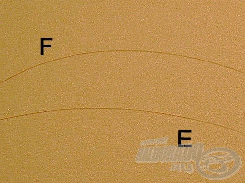 Vágjunk le egy kb. 20 cm hosszú előkezsinór darabot, majd fogjuk egymás mellé a két damilszálat, az előkét (E) és a főzsinórt (F)