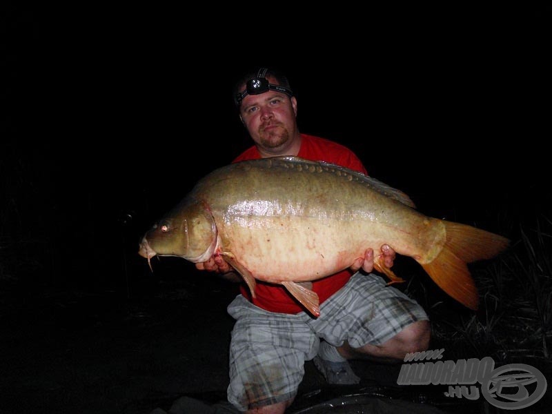 Egy szép, 13 kg-os potyka, ami 3 szem 12 mm-es Haldorádó Vörös Démon pelletre jött