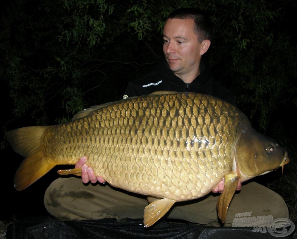 Az első 2014-ben; 15,5 kg