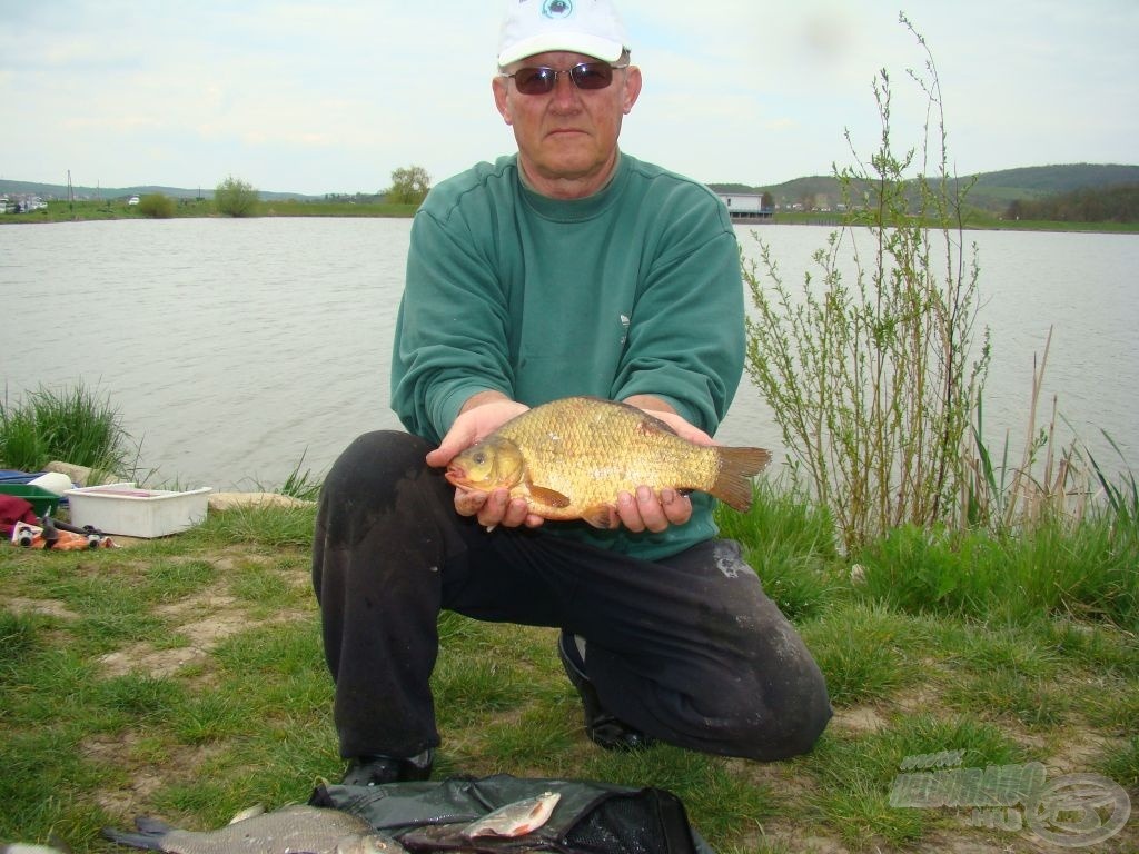 Papp Józsi-féle aranykárász, közel 1 kg!