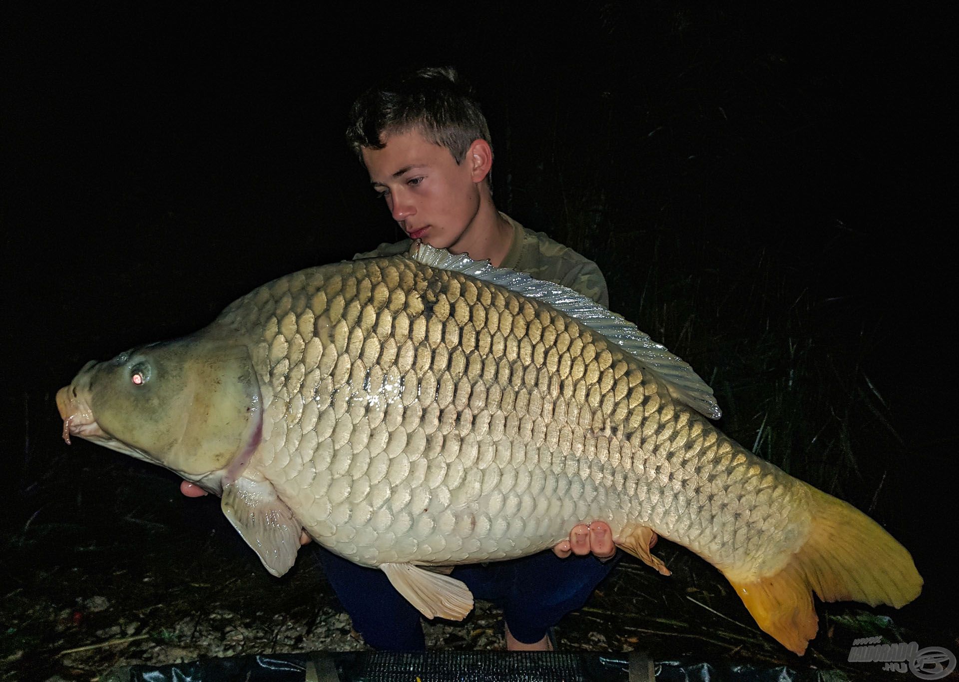 … majd két nappal később Bogát is meglátogatta. Megtetszett neki a Big Fish mindkét alkalommal