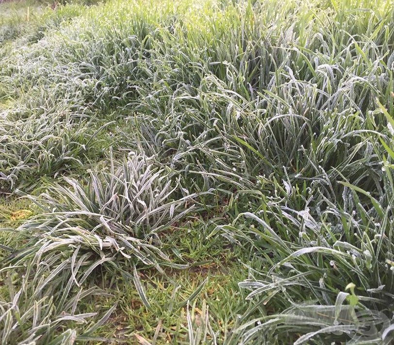 A reggeli órák még igen kellemetlen hideggel várják a vízpartra érkezőket, ilyenkor elkél a meleg öltözet