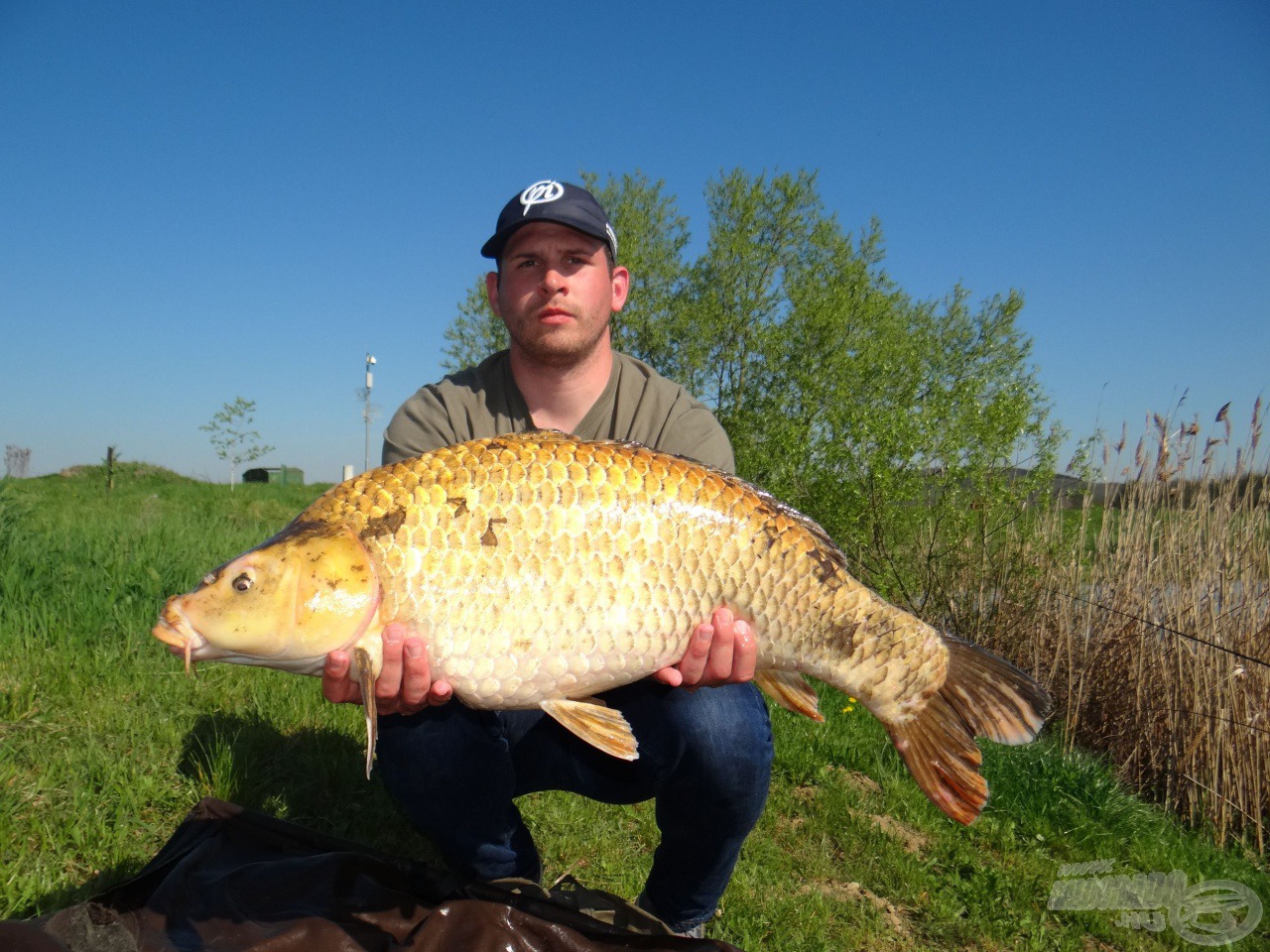 Éppen 10 kg alatt: A mai legnagyobb koi