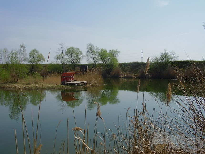 A tó legmélyebb pontja, ahol állítólag a nagy pontyok tanyáznak