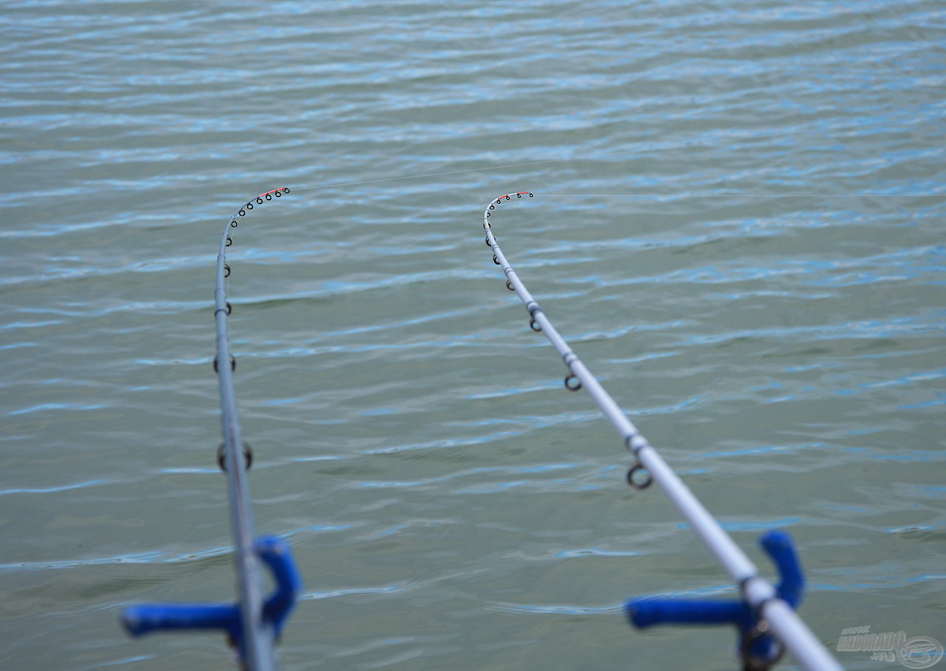 Két különböző bottal vártam a kapásokat, a nagyobb dobásokhoz a jól bevált Master Carp Pro LC-t használtam, a kisebb távolságokhoz pedig az újdonság Pro Method Feedert