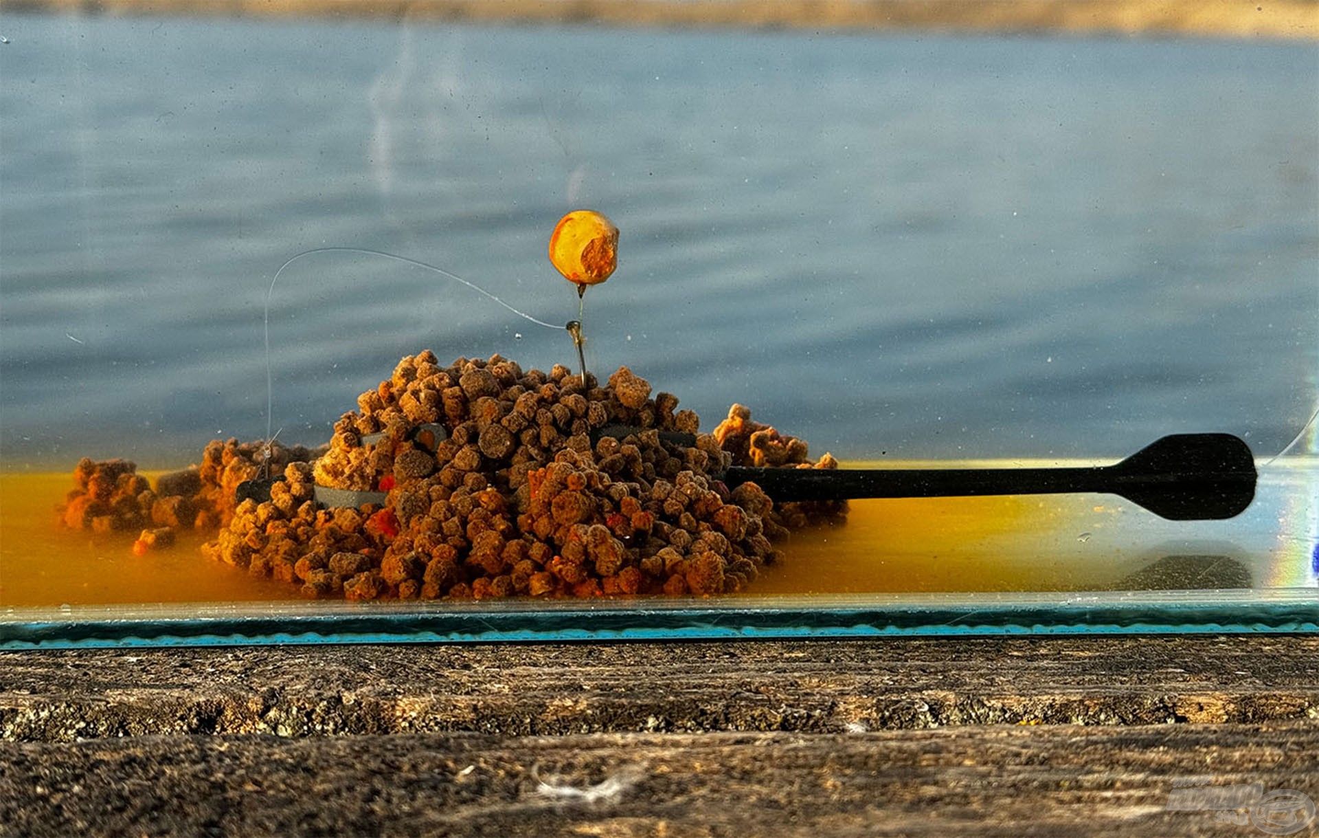 A method korásból kioldódó ízes pellet bőven elegendő volt a nagytestű halaknak. További plusz csalogatóanyagra vagy etetésre nem volt szükség