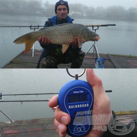 A hal pontos súlya 6,80 kg (halmérő zsákot levonva)