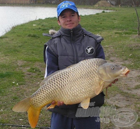 Áprilisi, epres bojlival kifogott 10,40 kg-os tőpontyom