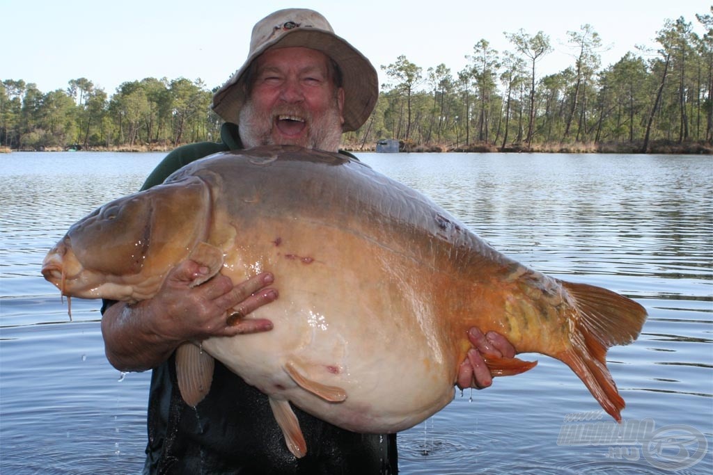 Des Taylor, az SBS egyik szaktanácsadója és teszthorgásza is a Phaze1 Pop Upnak köszönheti élete legnagyobb pontyát, amelynek súlya 34,08 kg volt