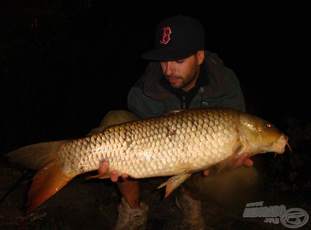 Az est utolsó, 7,1 kg-os nyurgája Monster Squid bojlira