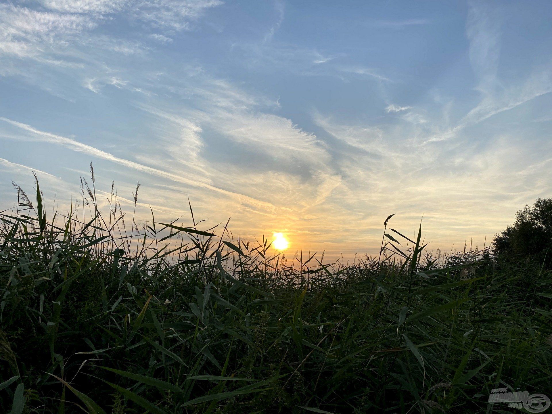 A fényváltás kiemelt időszak amurozás során is