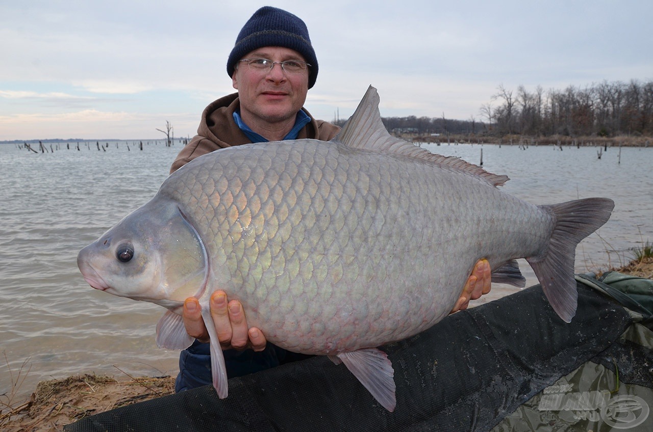 Ez a gyönyörűség 17,14 kg-ot nyomott