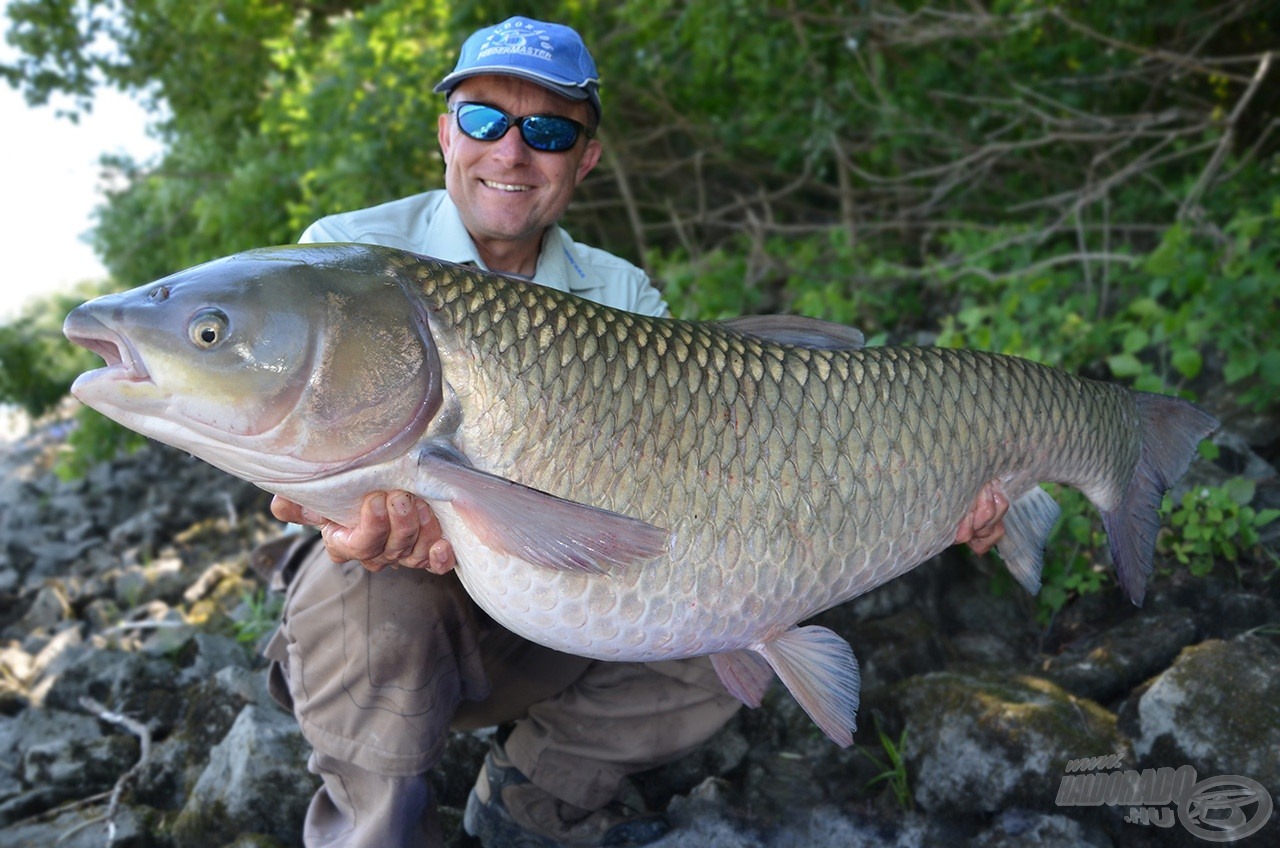 Ezen a napon sikerült horogra csábítani ezt a 18,12 kg-os amurt is, amelyet fél óra múlva…